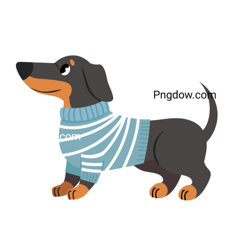 Dachshund Png image with transparent background for free, Dachshund, (16)