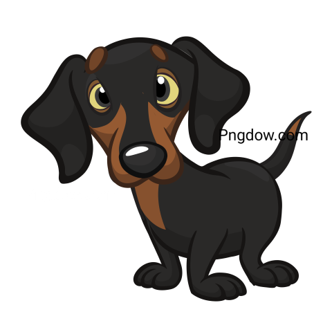 Dachshund Png image with transparent background for free, Dachshund, (21)