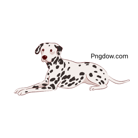 Dalmatian Png image with transparent background for free, Dalmatian, (19)