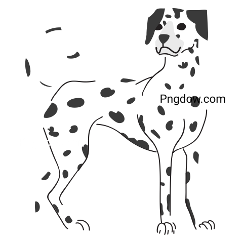 Dalmatian Png image with transparent background for free, Dalmatian, (26)