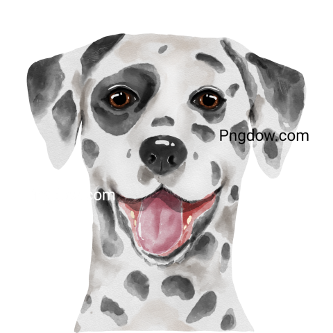 Dalmatian Png image with transparent background for free, Dalmatian, (20)