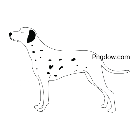 Dalmatian Png image with transparent background for free, Dalmatian, (25)