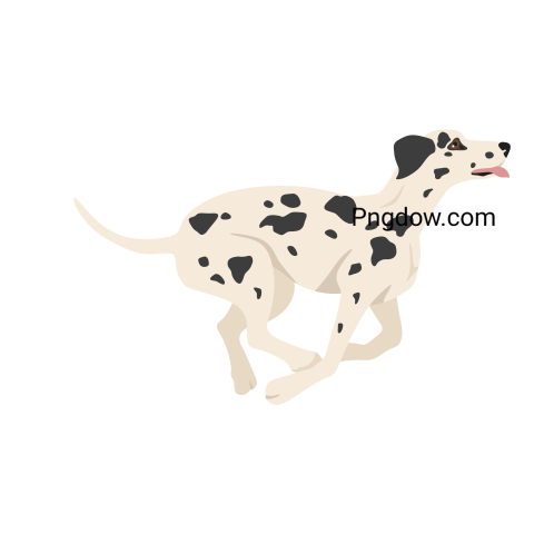 Dalmatian Png image with transparent background for free, Dalmatian, (24)