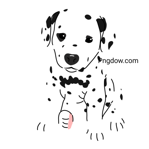 Dalmatian Png image with transparent background for free, Dalmatian, (9)