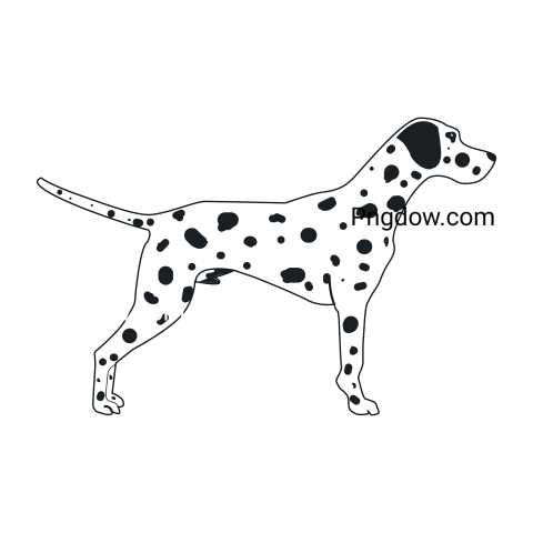 Dalmatian Png image with transparent background for free, Dalmatian, (21)