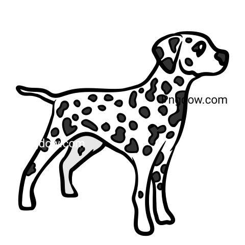 Dalmatian Png image with transparent background for free, Dalmatian, (5)