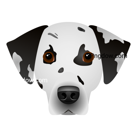 Dalmatian Png image with transparent background for free, Dalmatian, (8)