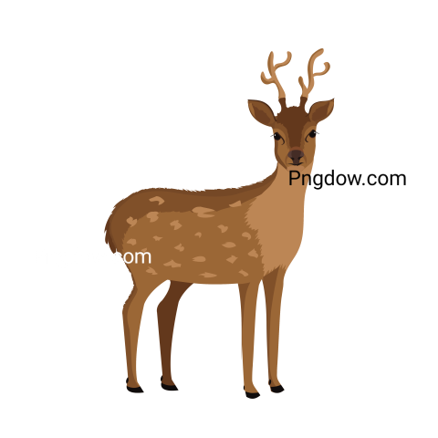 Deer Png image with transparent background for free, Deer, (26)