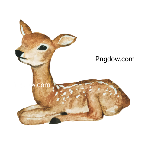 Deer Png image with transparent background for free, Deer, (35)