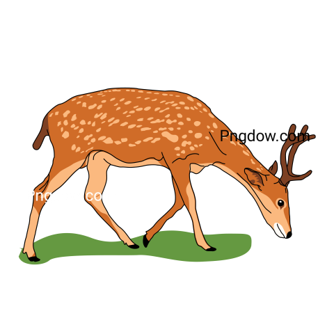Deer Png image with transparent background for free, Deer, (2)