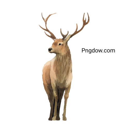 Deer Png image with transparent background for free, Deer, (17)