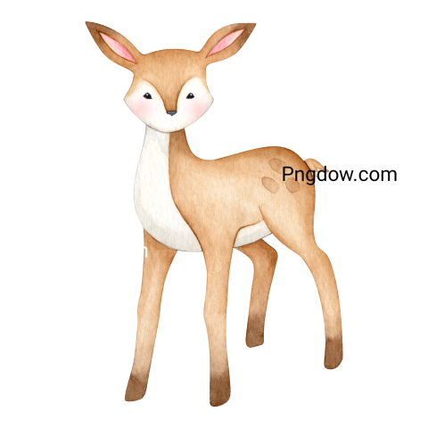 Deer Png image with transparent background for free, Deer, (6)