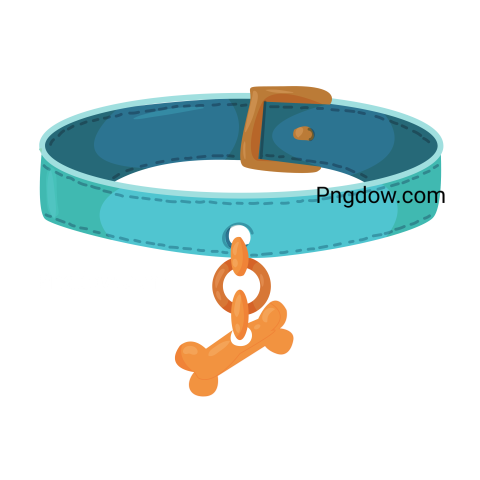 Dog collar Png image with transparent background for free, Dog collar, (30)