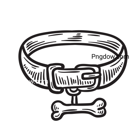 Dog collar Png image with transparent background for free, Dog collar, (29)