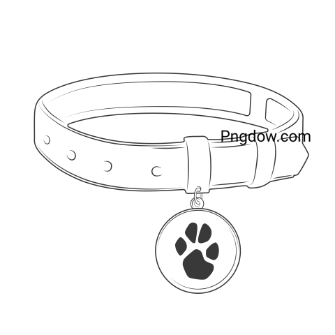 Dog collar Png image with transparent background for free, Dog collar, (33)