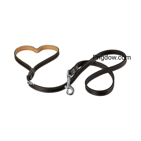Dog collar Png image with transparent background for free, Dog collar, (26)
