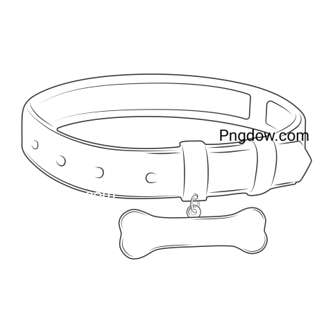 Dog collar Png image with transparent background for free, Dog collar, (14)