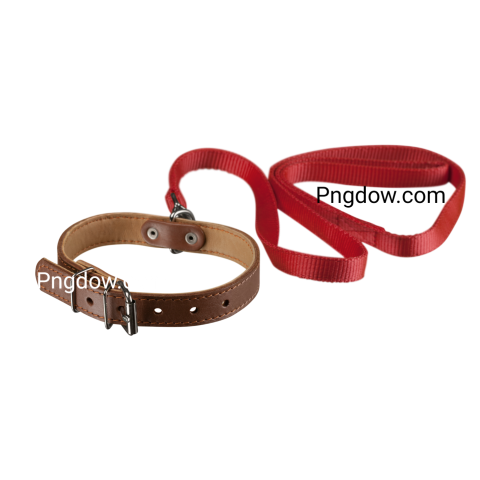Dog collar Png image with transparent background for free, Dog collar, (23)