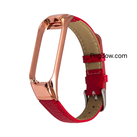 Dog collar Png image with transparent background for free, Dog collar, (24)