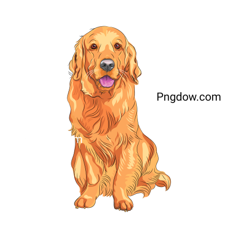 Dogs Png image with transparent background for free, Dogs, (15)