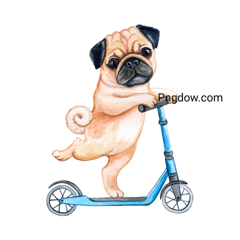 Dogs Png image with transparent background for free, Dogs, (16)