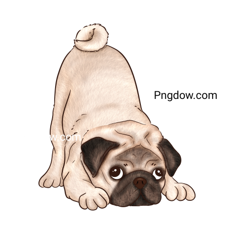 Dogs Png image with transparent background for free, Dogs, (6)