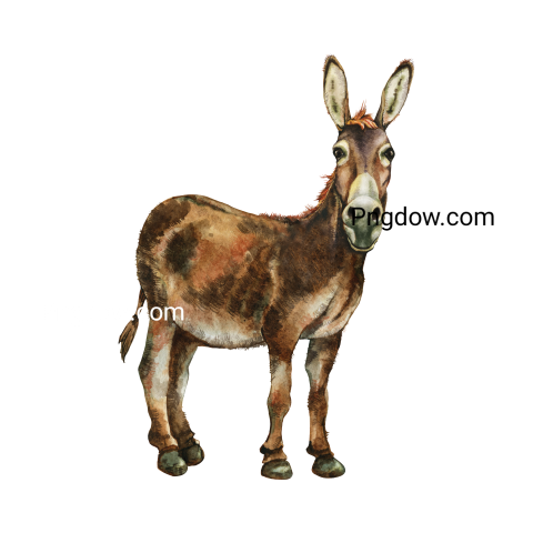 Donkey Png image with transparent background for free, Donkey, (19)
