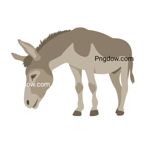 Donkey Png image with transparent background for free, Donkey, (6)
