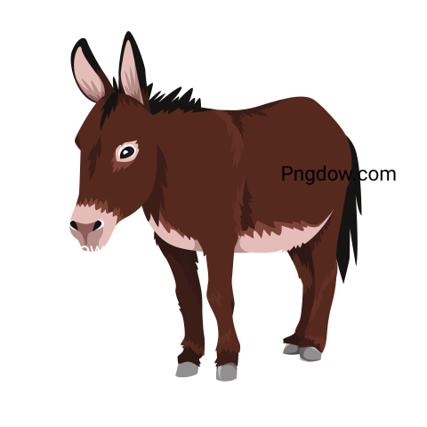 Donkey Png image with transparent background for free, Donkey, (8)