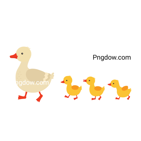 Duck Png image with transparent background for free, Duck, (28)