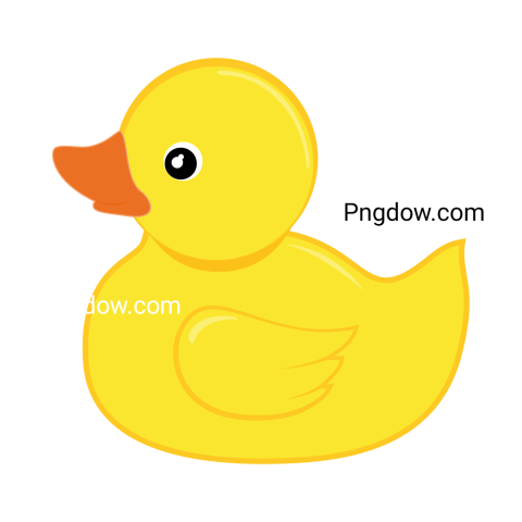 Duck Png image with transparent background for free, Duck, (26)