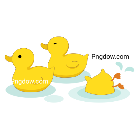 Duck Png image with transparent background for free, Duck, (18)