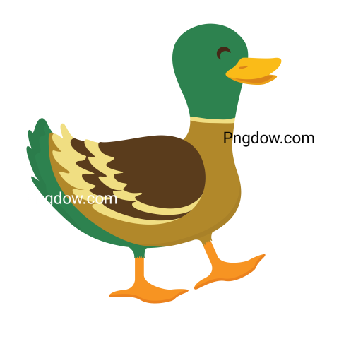 Duck Png image with transparent background for free, Duck, (5)