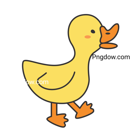 Duck Png image with transparent background for free, Duck, (15)