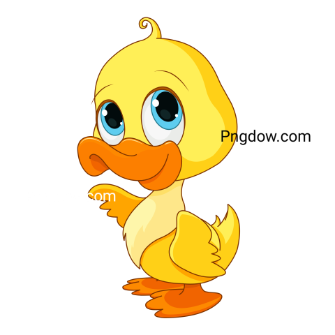 Duck Png image with transparent background for free, Duck, (4)