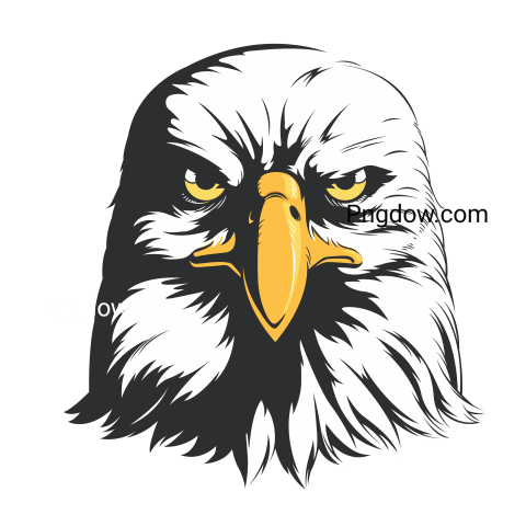 Eagle Png image with transparent background for free, Eagle, (27)