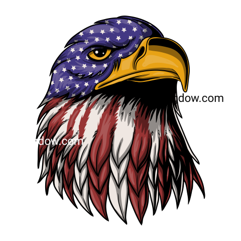 Eagle Png image with transparent background for free, Eagle, (16)