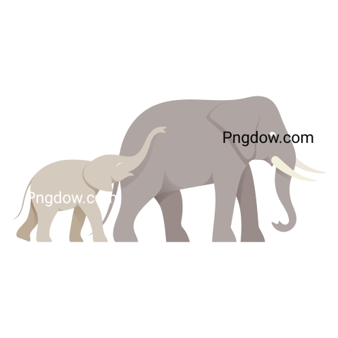 Elephants Png image with transparent background for free, Elephants, (38)