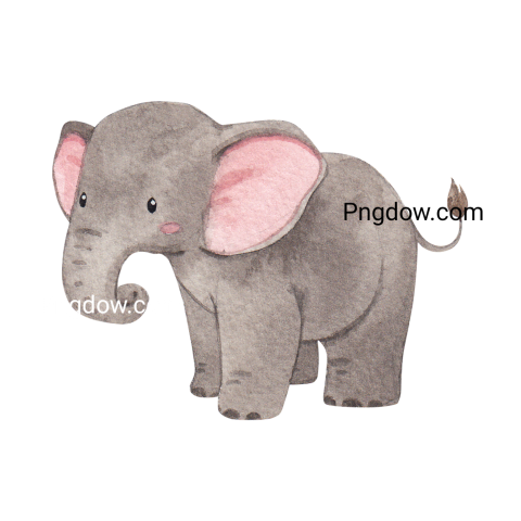Elephants Png image with transparent background for free, Elephants, (45)