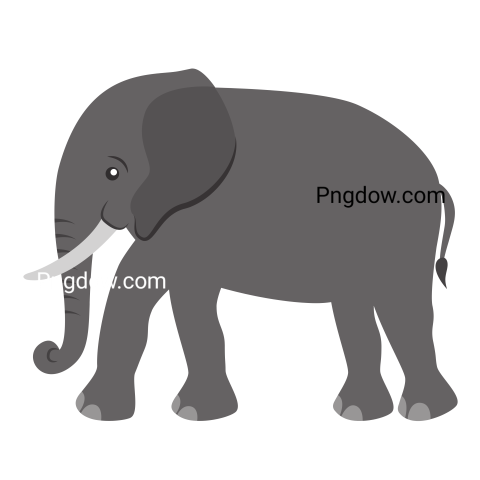 Elephants Png image with transparent background for free, Elephants, (2)