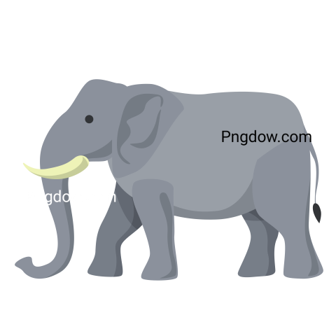 Elephants Png image with transparent background for free, Elephants, (27)