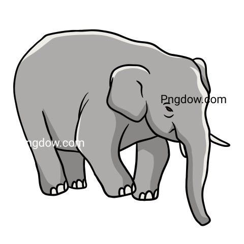 Elephants Png image with transparent background for free, Elephants, (10)