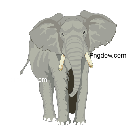 Elephants Png image with transparent background for free, Elephants, (1)