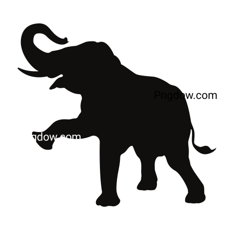 Elephants Png image with transparent background for free, Elephants, (9)