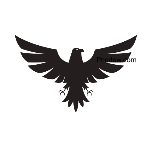 Falcon Png image with transparent background for free, Falcon, (5)