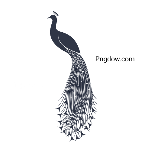 Feather Png image with transparent background for free, Feather, (2)