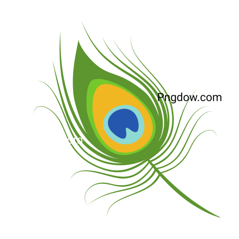 Feather Png image with transparent background for free, Feather, (17)