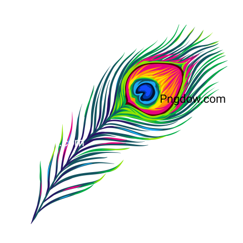 Feather Png image with transparent background for free, Feather, (26)