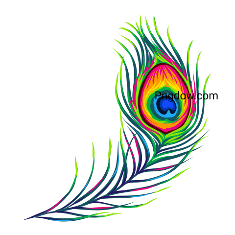 Feather Png image with transparent background for free, Feather, (18)