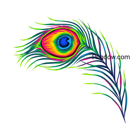 Feather Png image with transparent background for free, Feather, (11)